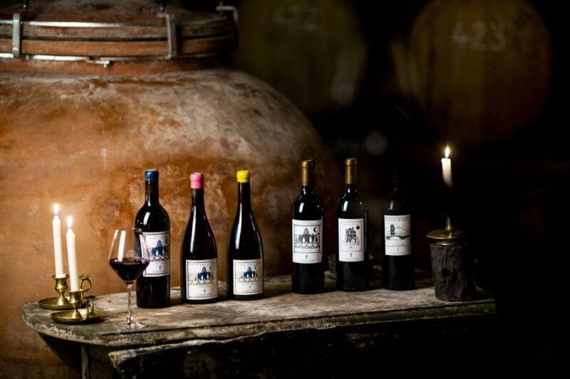 Château De Luc: Unique Visit and Wine Tasting - Good To Know