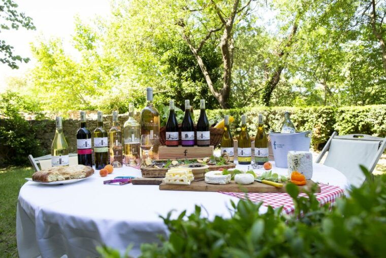 Château De Luc: Unique Visit and Wine Tasting - Wine Tasting Details