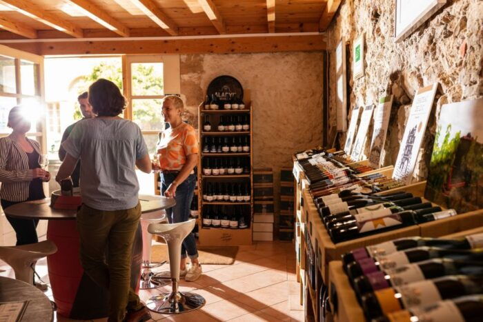 Château De Luc: Unique Visit and Wine Tasting - Language and Accessibility