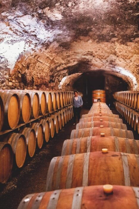 Château De Luc: Unique Visit and Wine Tasting - Customer Feedback