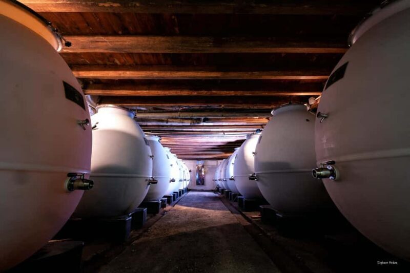 Château de Terride: tour of the wine cellar & wine tasting - Good To Know