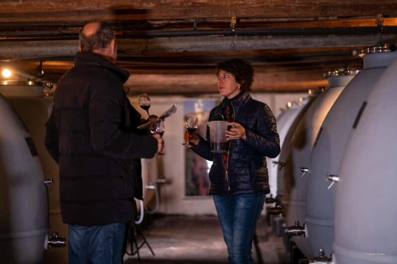 Château de Terride: tour of the wine cellar & wine tasting - Why This Tour Offers Excellent Value