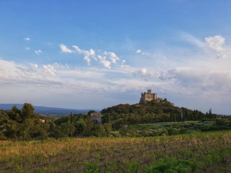 Château Du Barroux: French Whisky Tour Workshop - Activity Details