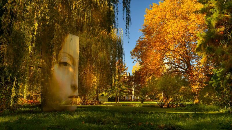 Chateau du Clos Luce ticket in Amboise - See the inventions brought to life