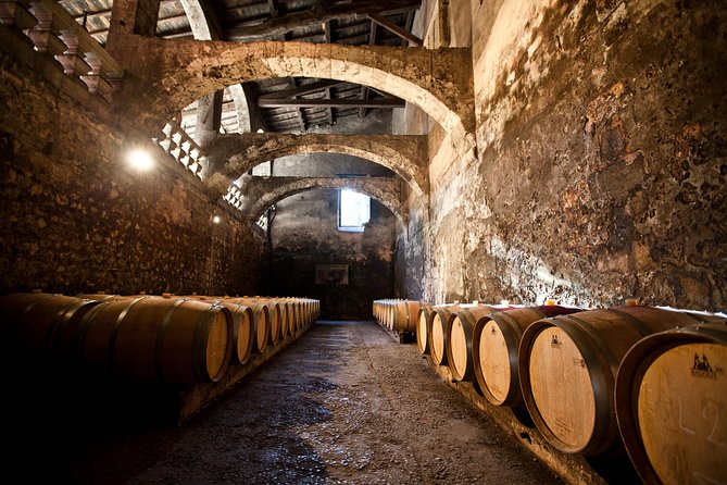 Chateau Du Taillan and Park Including Wine Tasting Tour - Château Du Taillan: an 18th-Century Gem