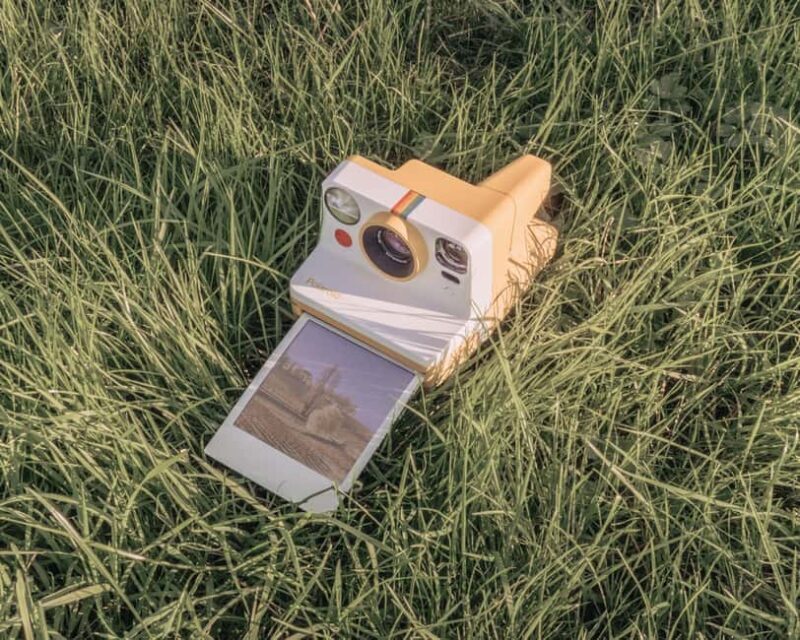 Château Fleur Cardinale: Panoramic Tour Walk through the vineyards - An Authentic Walk Through the Bordeaux Vineyards