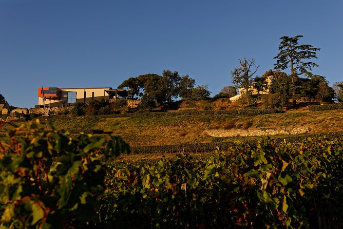 Château LA CROIZILLE Grand Cru Classé: Visit & Tasting - Pricing and Booking
