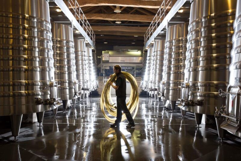 Château Olivier: One Hour Vineyard Tour With Wine Tasting - Good To Know