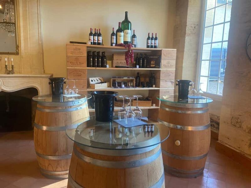 Château St-Emilion Grand Cru visit and Grand Cru and Pomerol tasting - Introduction to the Experience