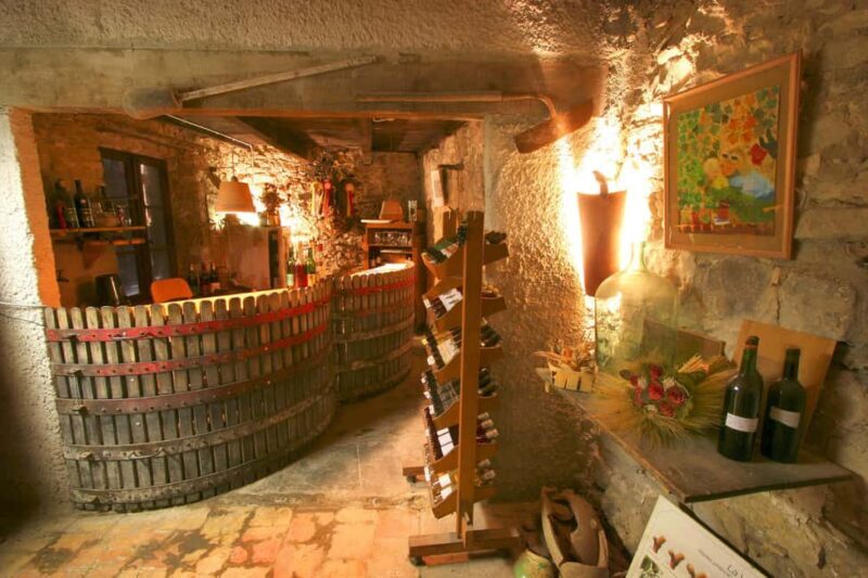 Château Villemagne: Tour of the cellar and tasting of our wines. - Exploring the Château Villemagne Experience in Detail