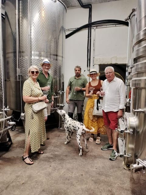 Châteauneuf-du-Pape: Exclusive Private Tour for Connoisseurs - Good To Know