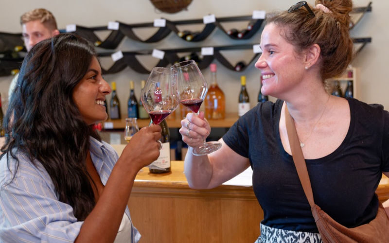 Chateauneuf-du-Pape & Luberon Full-Day Minivan Tour with Wine Tasting - At a glance