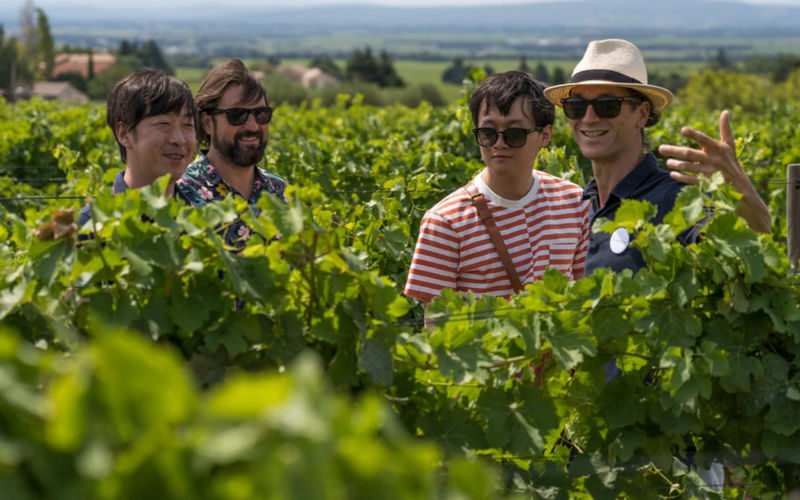Chateauneuf-du-Pape & Luberon Full-Day Minivan Tour with Wine Tasting - Is $217.95 a fair price?