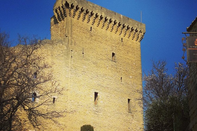 Chateauneuf-Du-Pape Prestige Wine Tour From Avignon - Recommendations