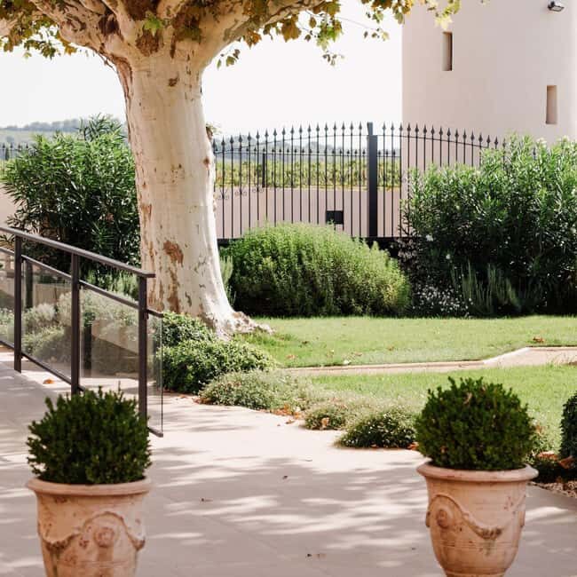 Châteauneuf-du-Pape: tour/tasting in the heart of Domaine Tour St Michel - What to Expect from the Experience