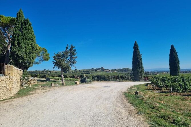 Chateauneuf Du Pape Wine Lovers Tour With Private Driver - Pricing and Booking Details