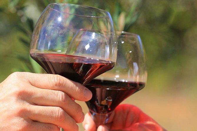 Châteauneuf-Du-Pape Wine Region Tour and Tastings From Avignon  - Cancel 24H Prior & Full Refund - Inclusions