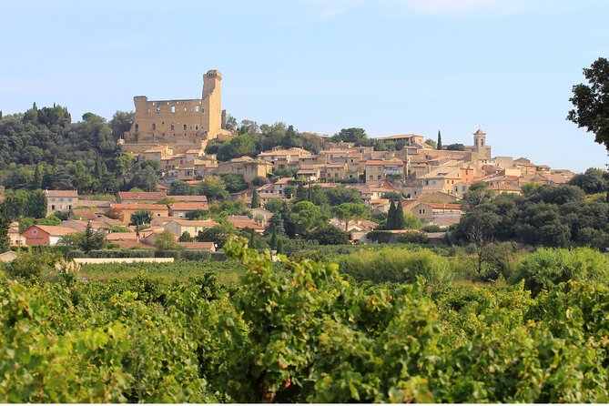 Châteauneuf-Du-Pape Wine Region Tour and Tastings From Avignon  - Cancel 24H Prior & Full Refund - Viator Information