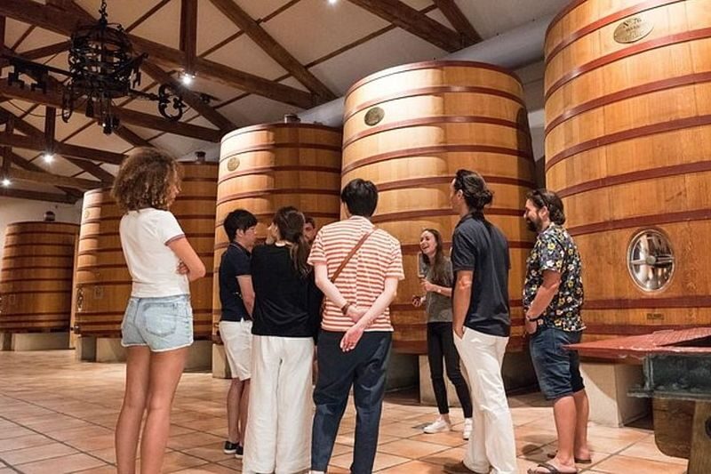 Chateauneuf-du-Pape Wine Tour from Avignon - The hilltop ruins and their Rhône Valley view