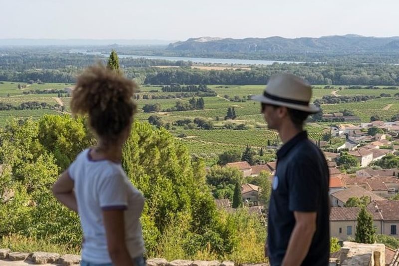 Chateauneuf-du-Pape Wine Tour from Avignon - Four hours, with time left in Avignon