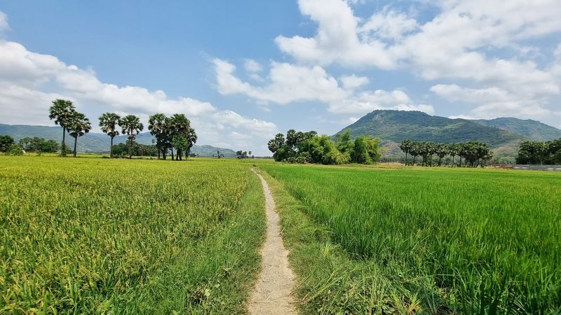 Chau Doc Khmer Village Half-Day Private Cultural Tour - Key points before you book