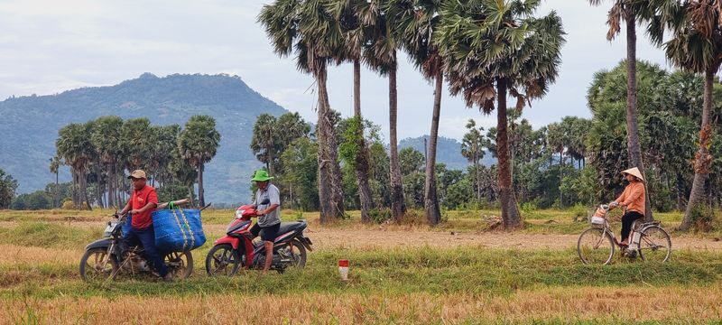 Chau Doc Khmer Village Half-Day Private Cultural Tour - From Chau Doc to the Khmer village