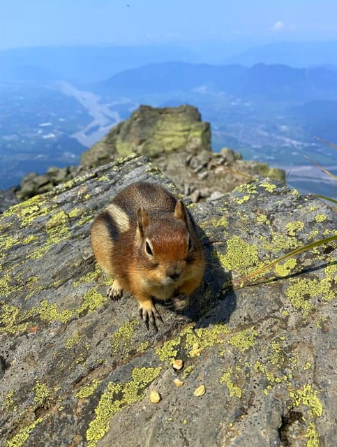 Cheam and Lady Peak/ Hiking Day Trip/Chilliwack, BC - Detailed Hiking Itinerary