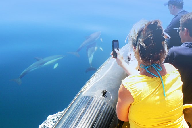 Cheapest Family Friendly Boat Trip From Vilamoura Algarve - Overview of the Budget-Friendly Boat Trip