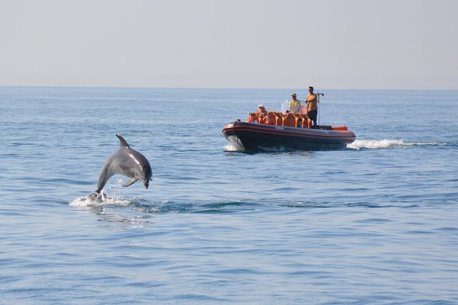 Cheapest Family Friendly Boat Trip From Vilamoura Algarve - Weather Conditions and Minimum Traveler Requirements