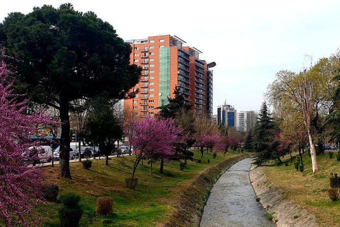 Check IN Tirana - Schedule and Operational Details