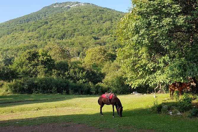 Check IN Tirana - The Sum Up
