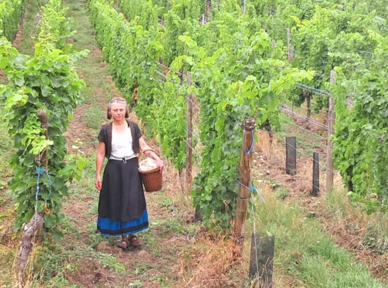 Check out the Heart of Alsace in Riquewihr - Good To Know