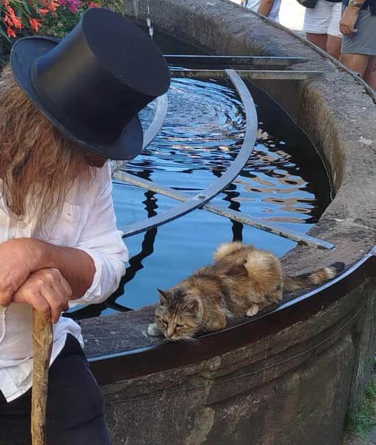 Check out the Heart of Alsace in Riquewihr - A Deep Dive into the Tour Experience