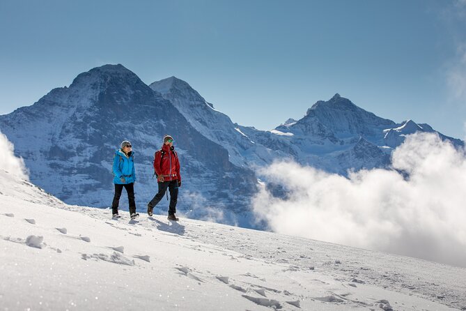 Cheese and Chocolate on Mountain Summit - Enjoy Panoramic Mountain Views
