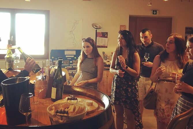 Cheese and Wine of Lyon Vineyards - Half Day - Visit Local Cheese Producers