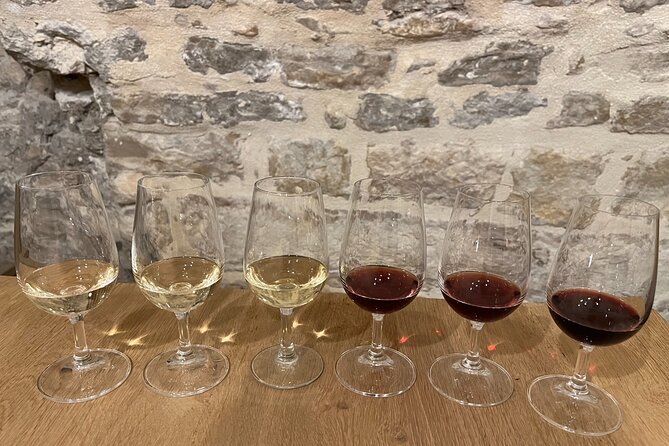 Cheese and Wine Pairing 1-Hour Session in Dijon - Reviews