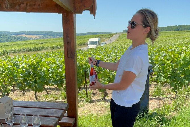 Cheese and Wine Pairing 1-Hour Session in Dijon - Common Questions