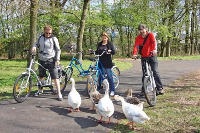 Cheese, Canals & Windmill Countryside E-Bike Tour Amsterdam - Cancellation Policy