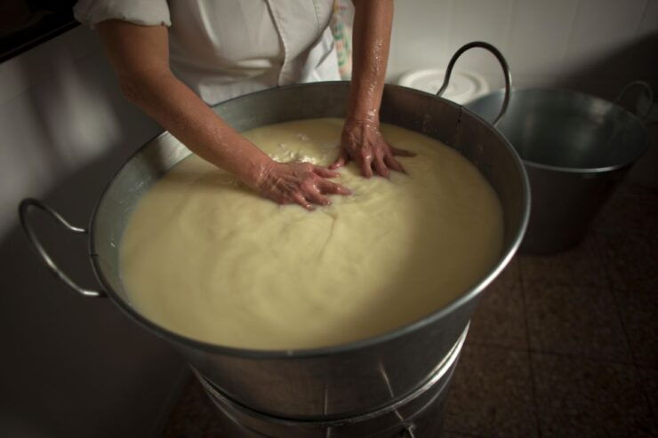 Cheese Making and Tasting Tour From Cagliari With Lunch - Highlights