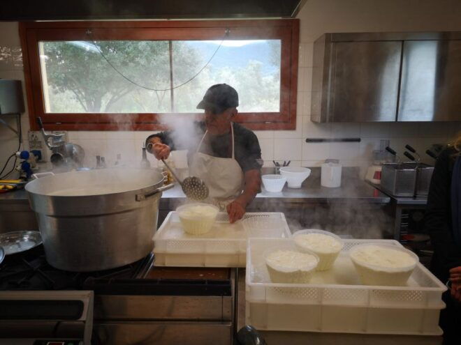 Cheese Making and Tasting Tour From Cagliari With Lunch - Customer Reviews