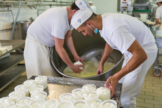 Cheese Making Experience: Learn the Secret of Apulian Cheese in the Countryside of Martina Franca - Experience Description