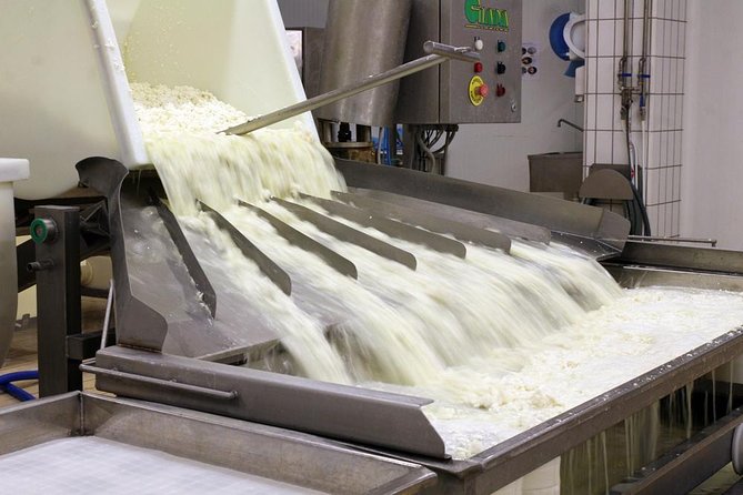 Cheesemaker for a Day & Visit to the Dairy - Inclusions