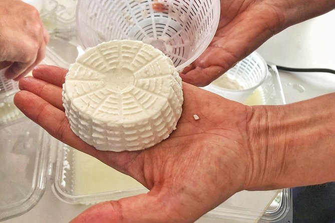 Cheesemaker for a Day & Visit to the Dairy - The Sum Up