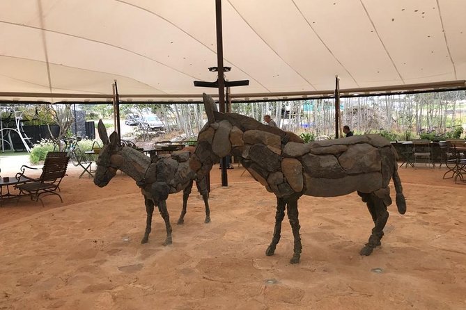 Cheetah Outreach and Award-Winning Winelands Full Day Tour - Private Transportation