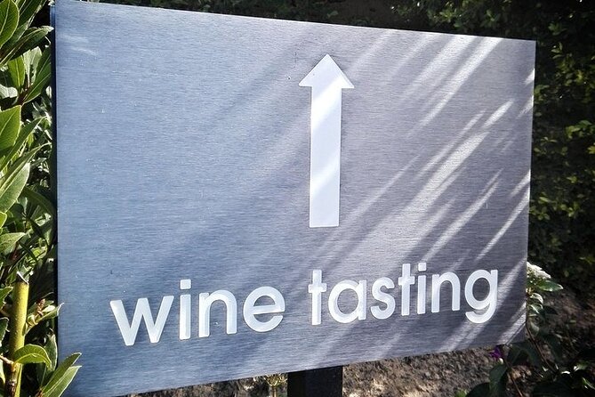 Cheetah Outreach and Award-Winning Winelands Full Day Tour - Cape Winelands Exploration