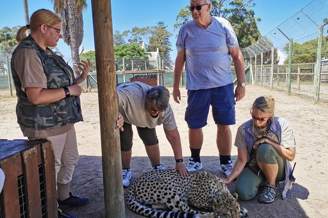 Cheetah Outreach Tour Somerset West, Gordons Bay and Strand Beaches - Feedback on the Overall Tour Experience