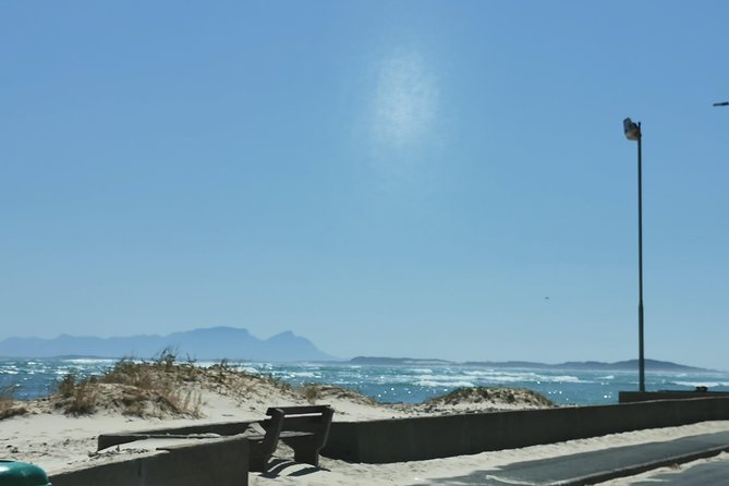 Cheetah Outreach Tour Somerset West, Gordons Bay and Strand Beaches - The Sum Up