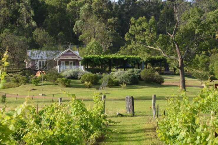 Chef-Led Hunter Valley Food & Wine Tour From Sydney - Booking and Cancellation Policy