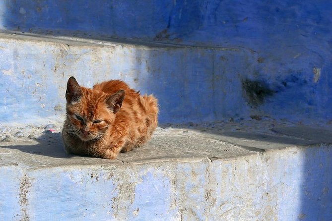 Chefchaouen Day Trip From Fes - Visit the Grand Mosque