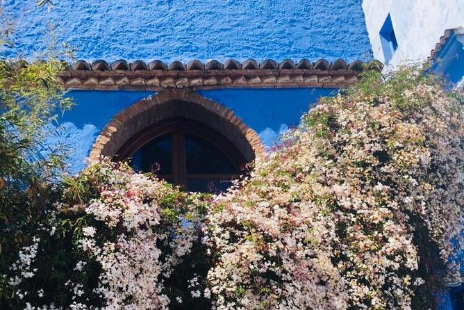 Chefchaouen Private Day Trip From Fez - Common Questions